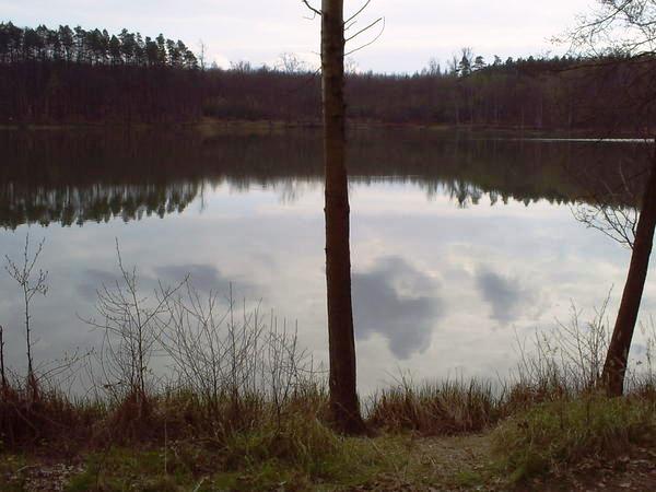 Śródleśne jezioro. Fot. Dorota Kawczyńska